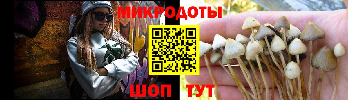 Псилоцибиновые грибы Magic Shrooms  Псилоцибиновые грибы Psilocybe  Солнечногорск  Вход с VPN 
